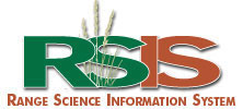 RSIS logo