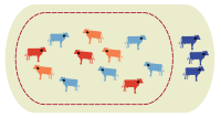 virtual herds shown in different colors