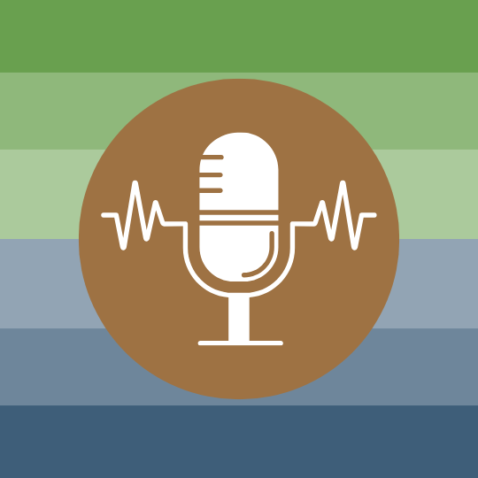 Icon of a microphone