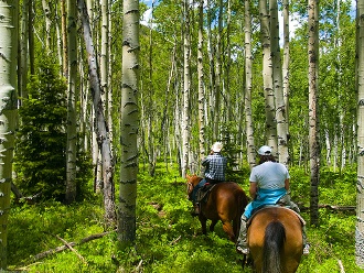 Horseback riders in aspen