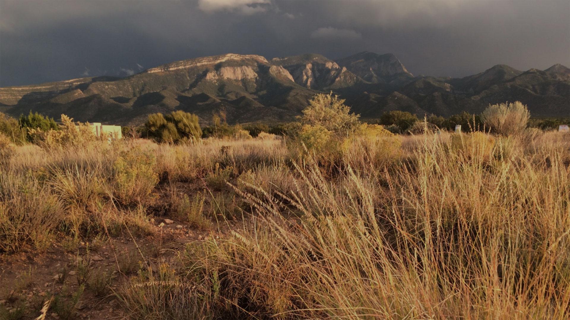 image of rangeland