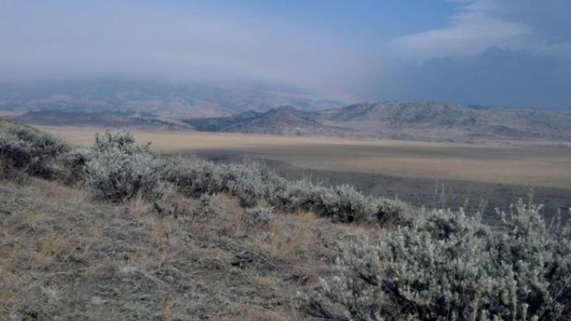 montana