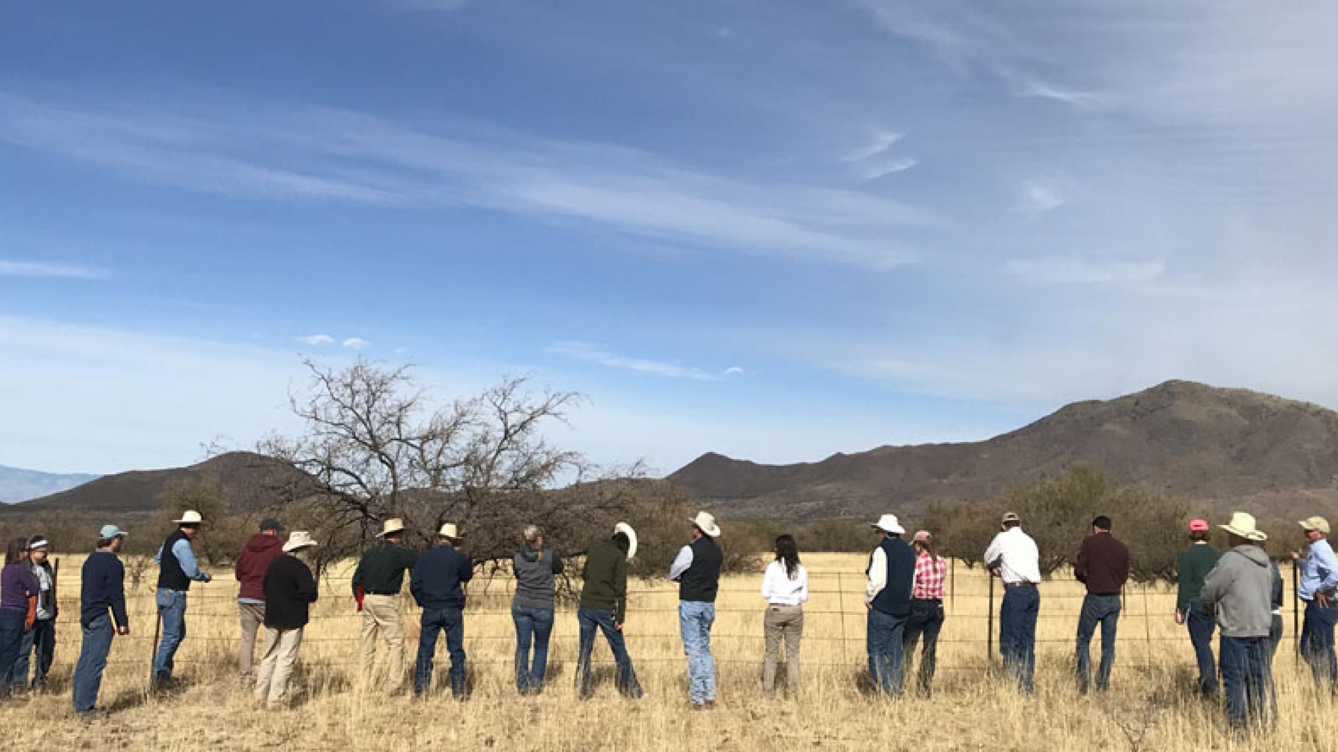 Land managers