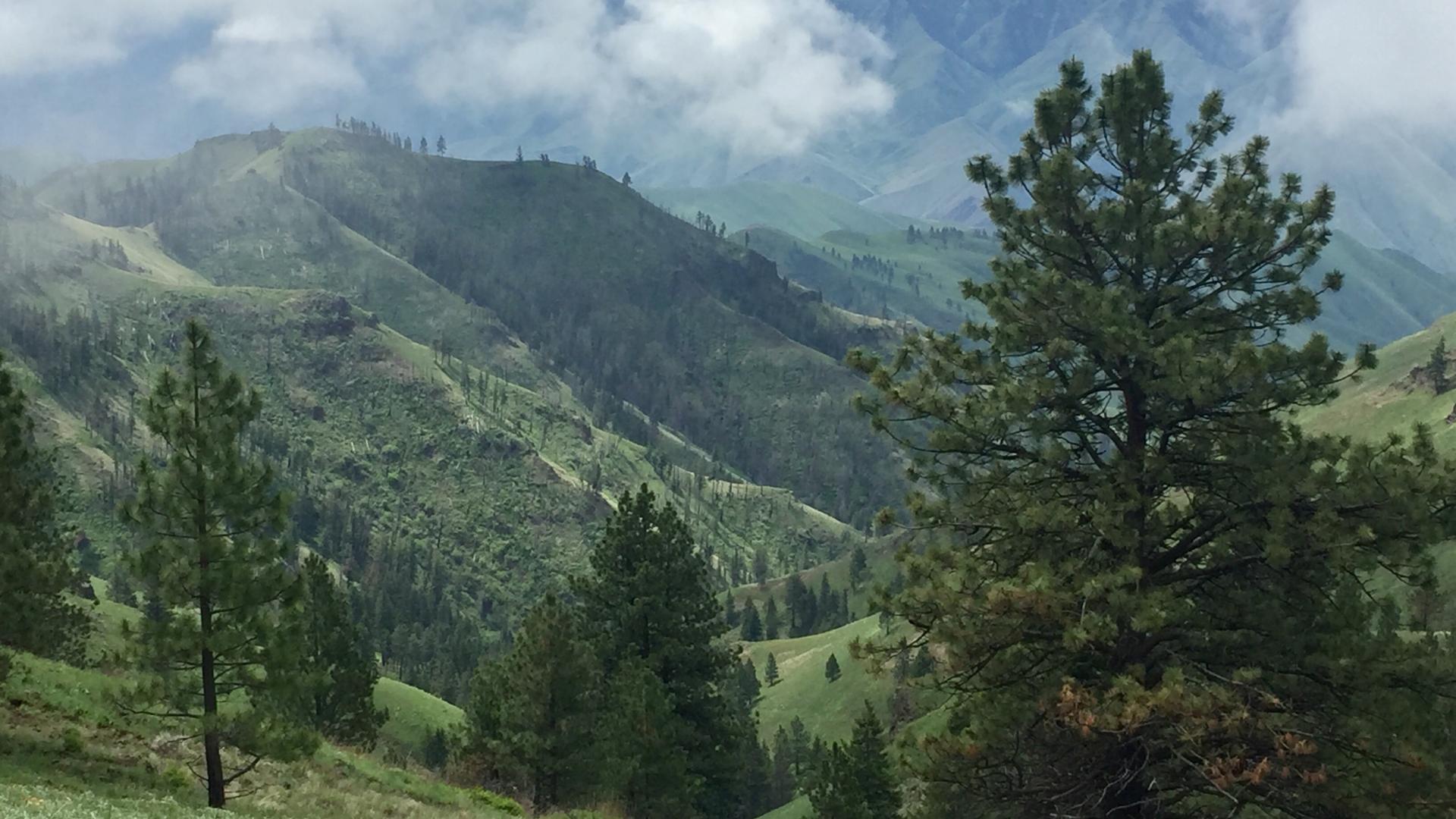 Photo near Snake River