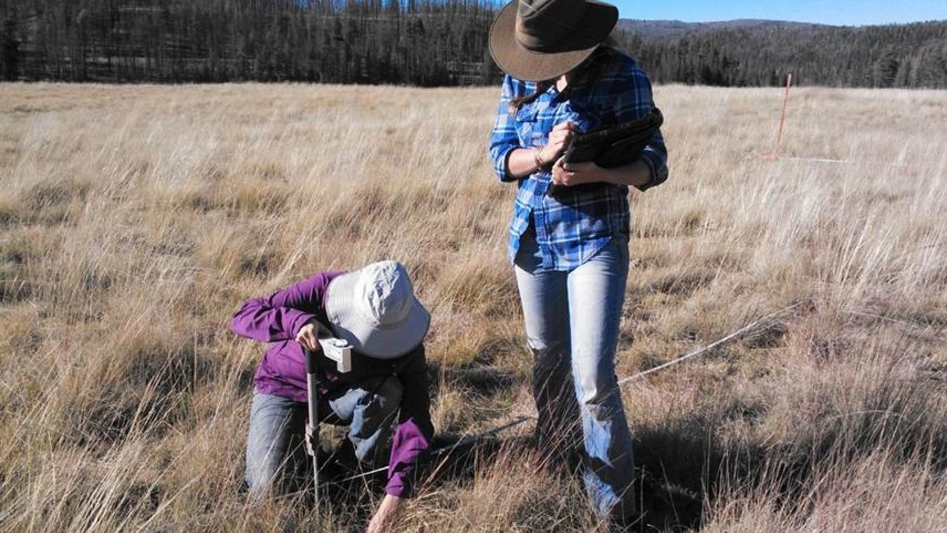 Maintaining and improving rangelands