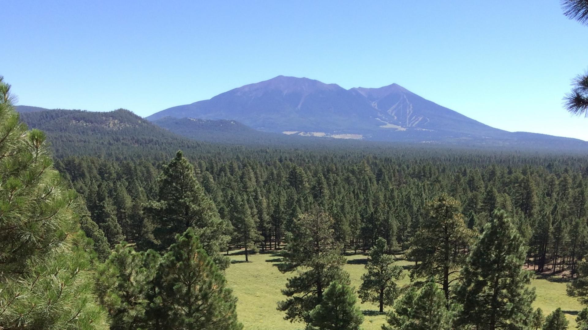 Image of San Francisco Peaks