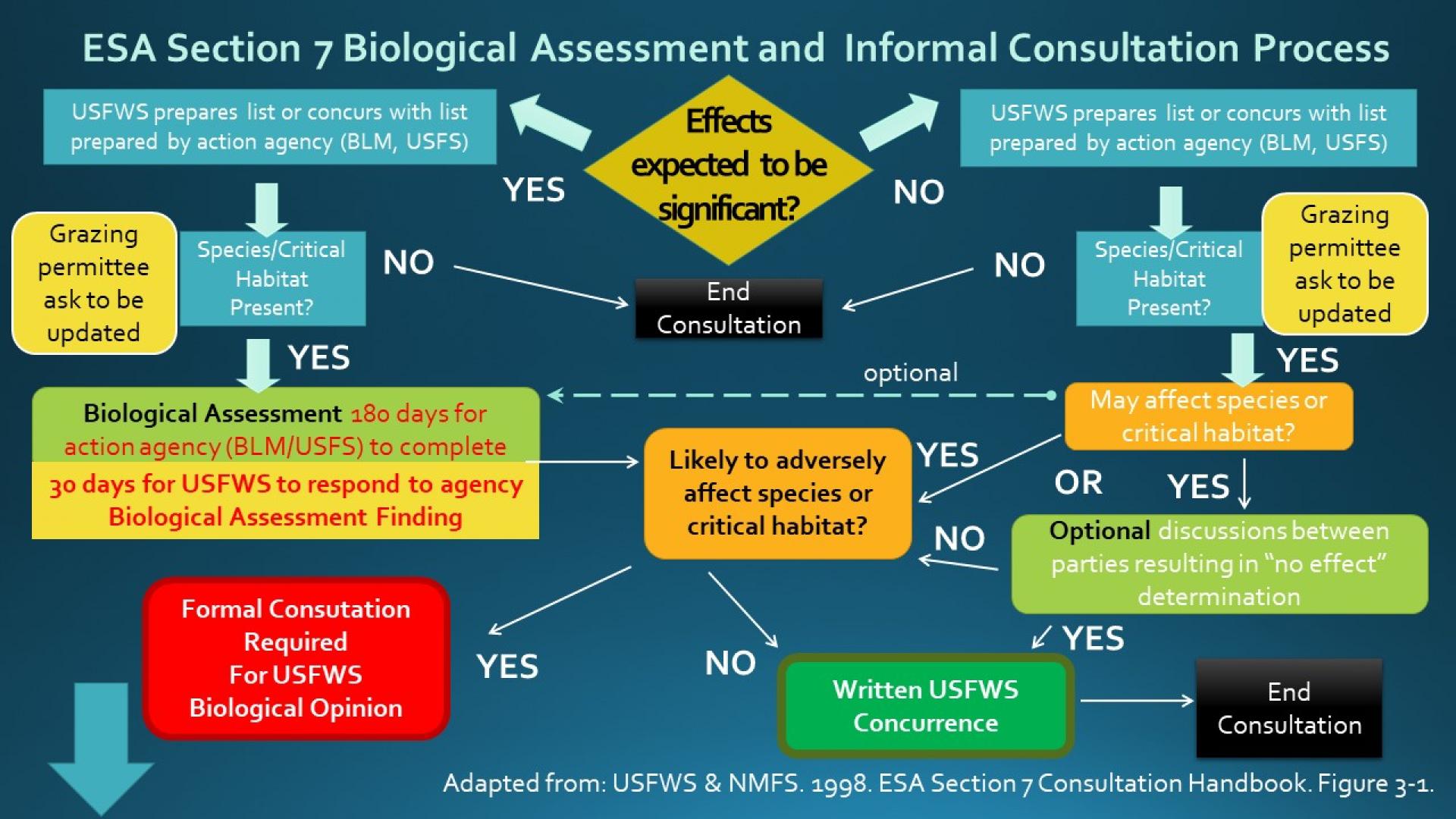 BA informal consult process