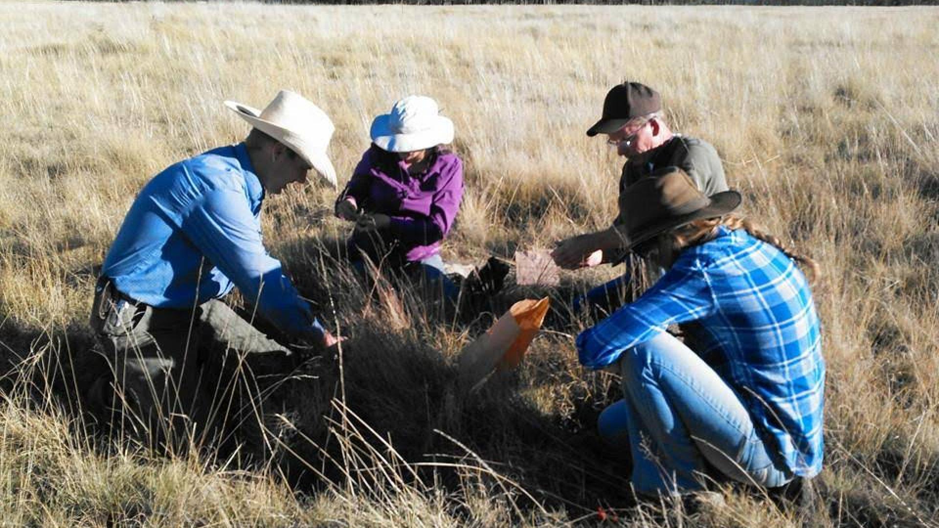 image of rangeland managers