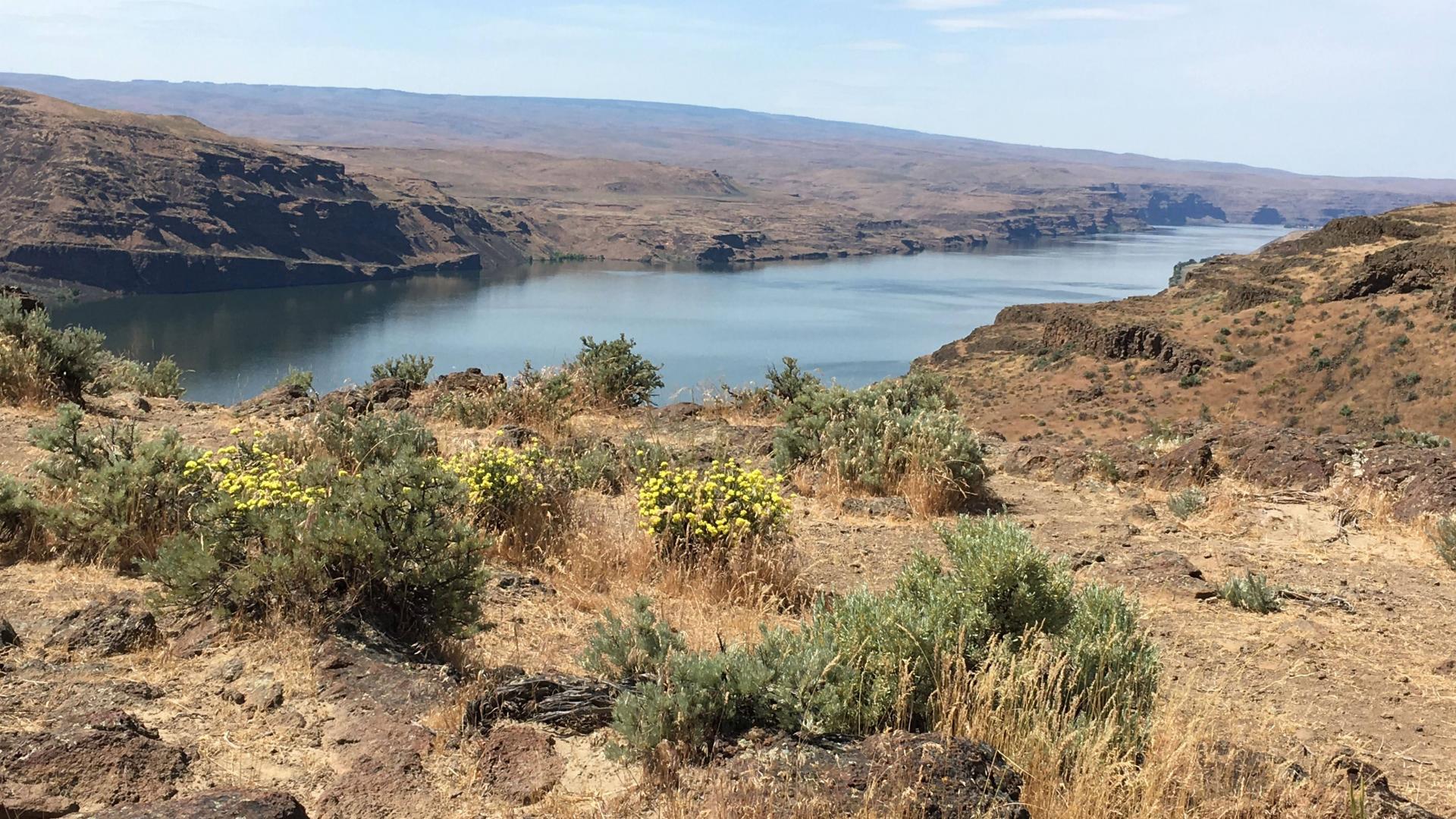 image of rangeland