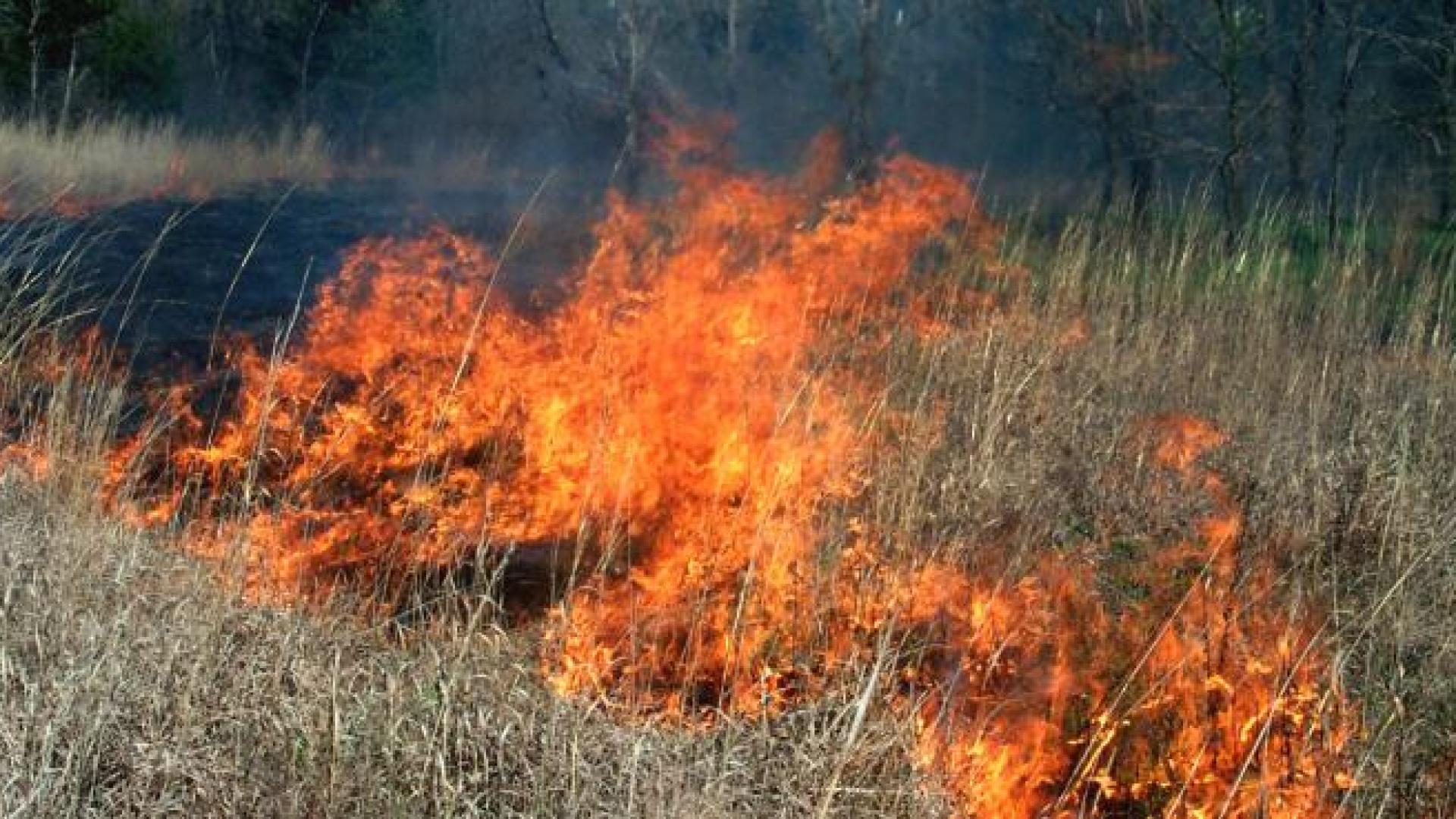 Prescribed burn in tallgrass prarie
