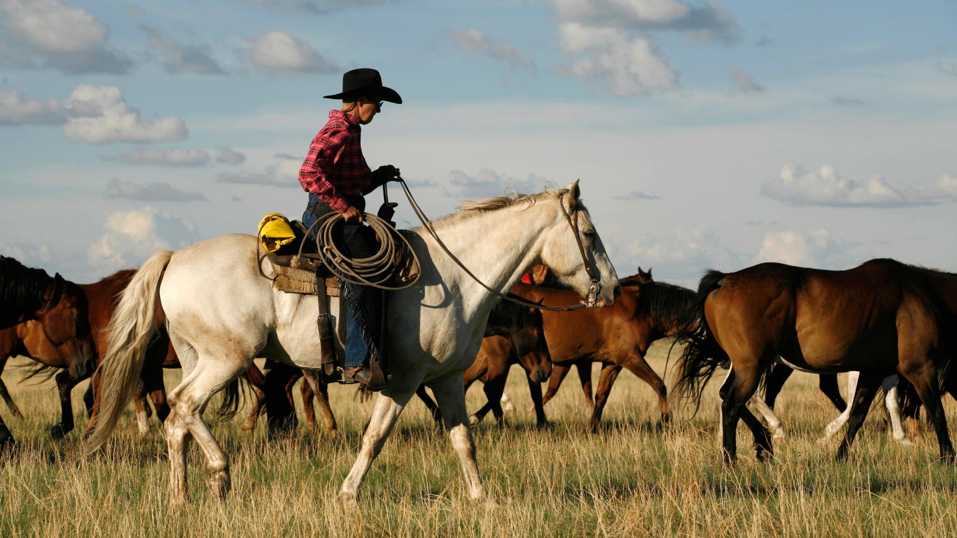 How Open Range Ranching Applies to Non-Ranchers - Countryside