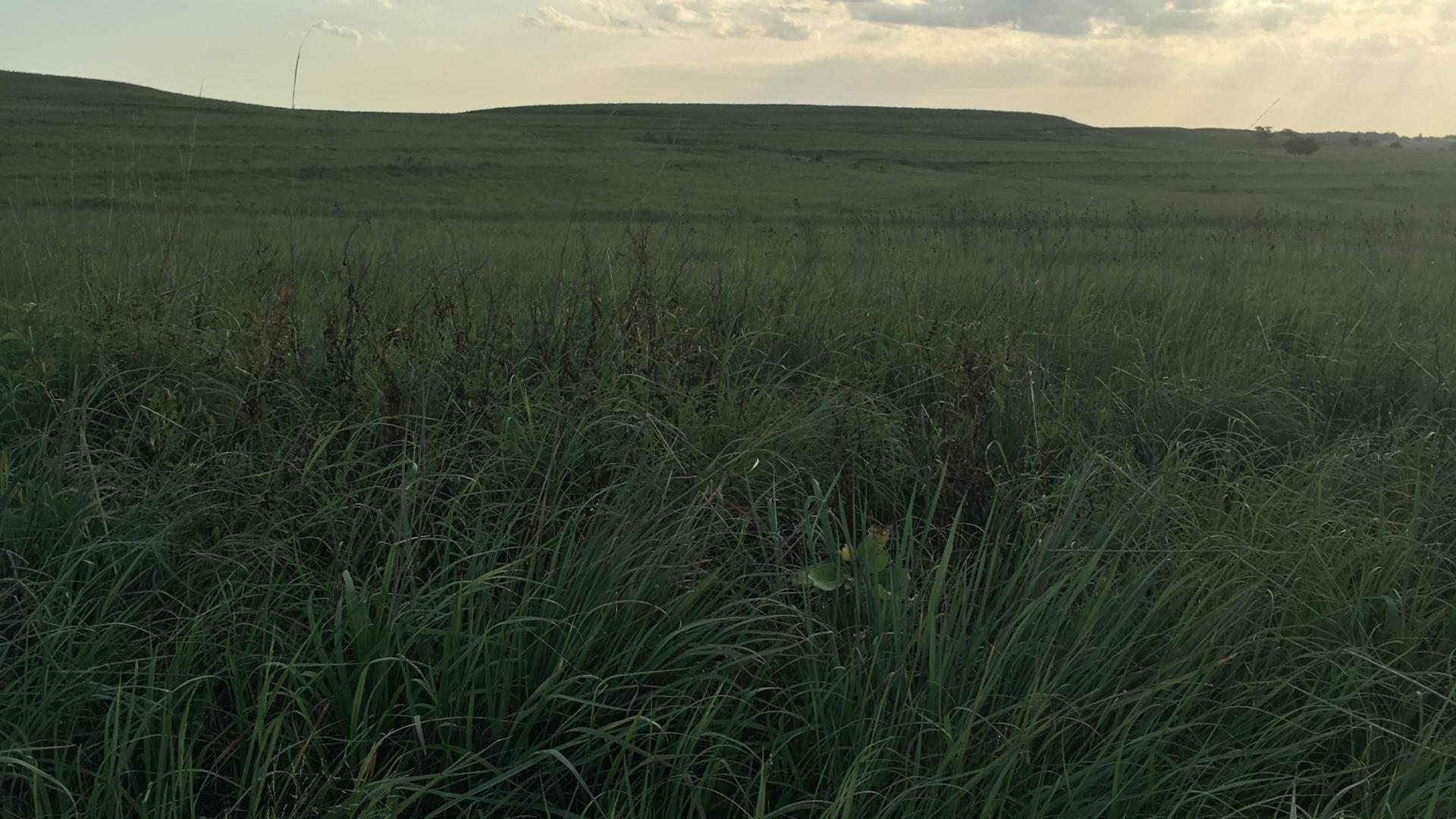 Flint Hills Kansas tallgrass prairie scene