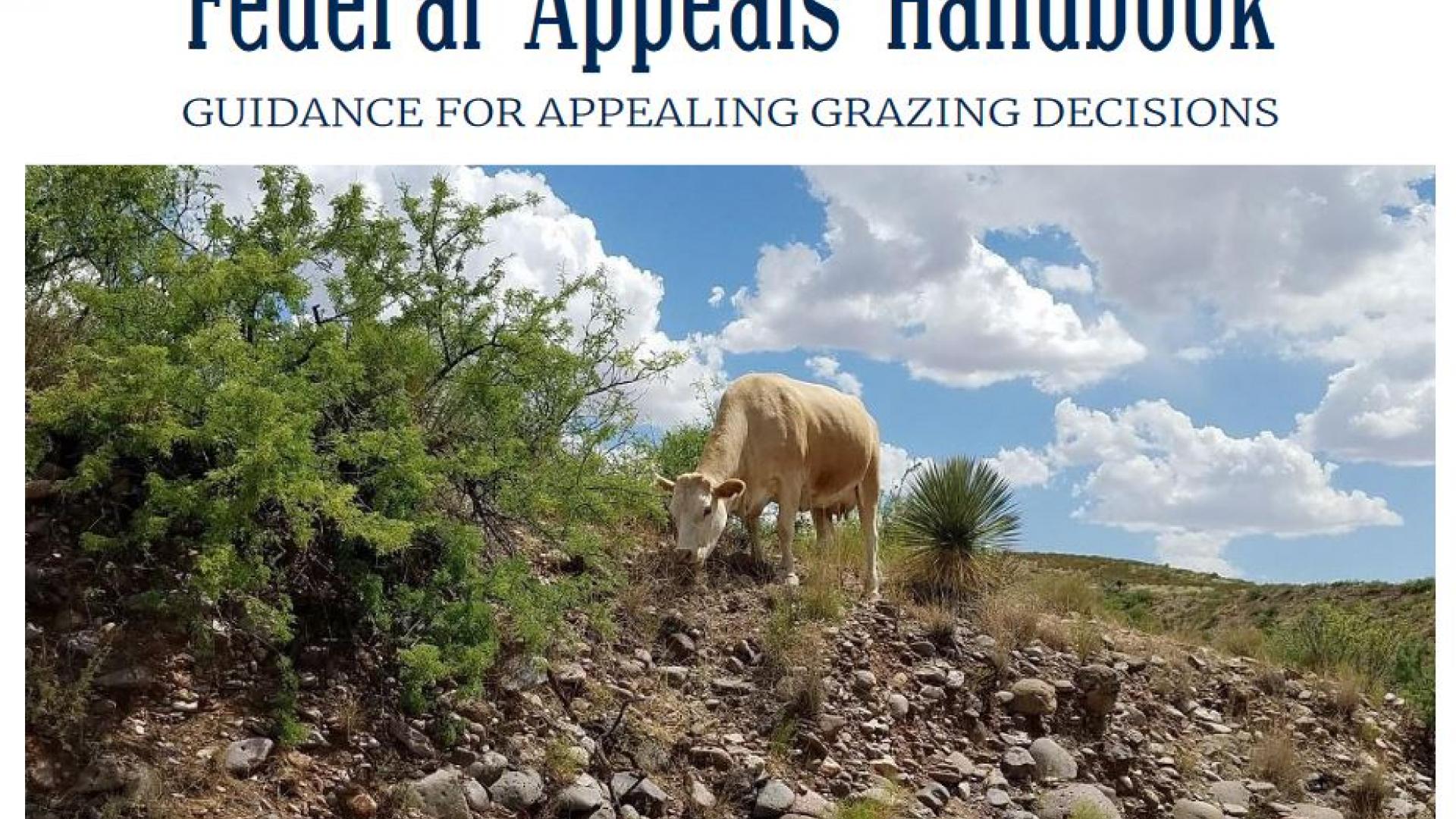 Cover of Federal Appeals Handbook