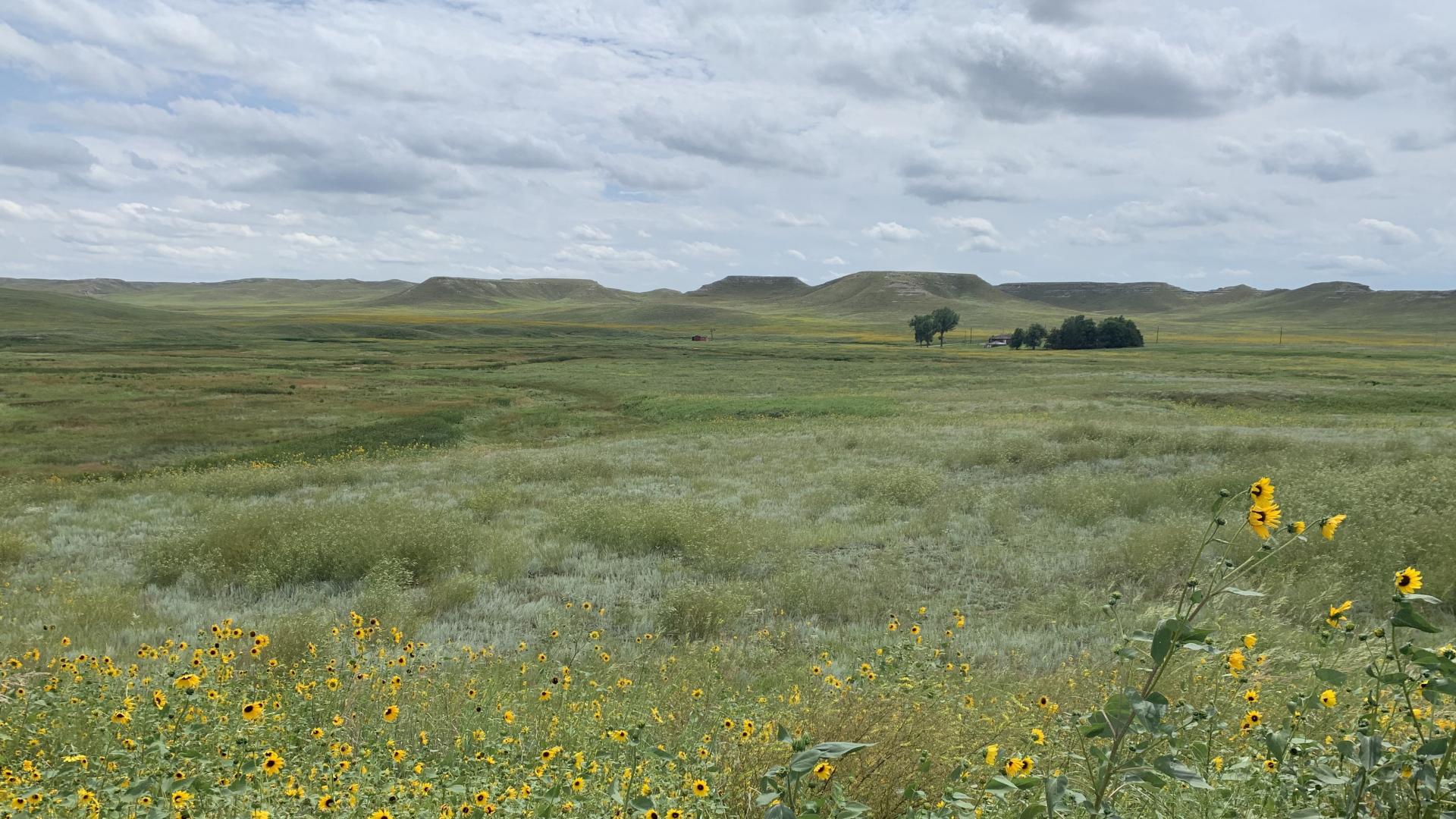 Grassland at Agate Fossil Beds, Nebraska