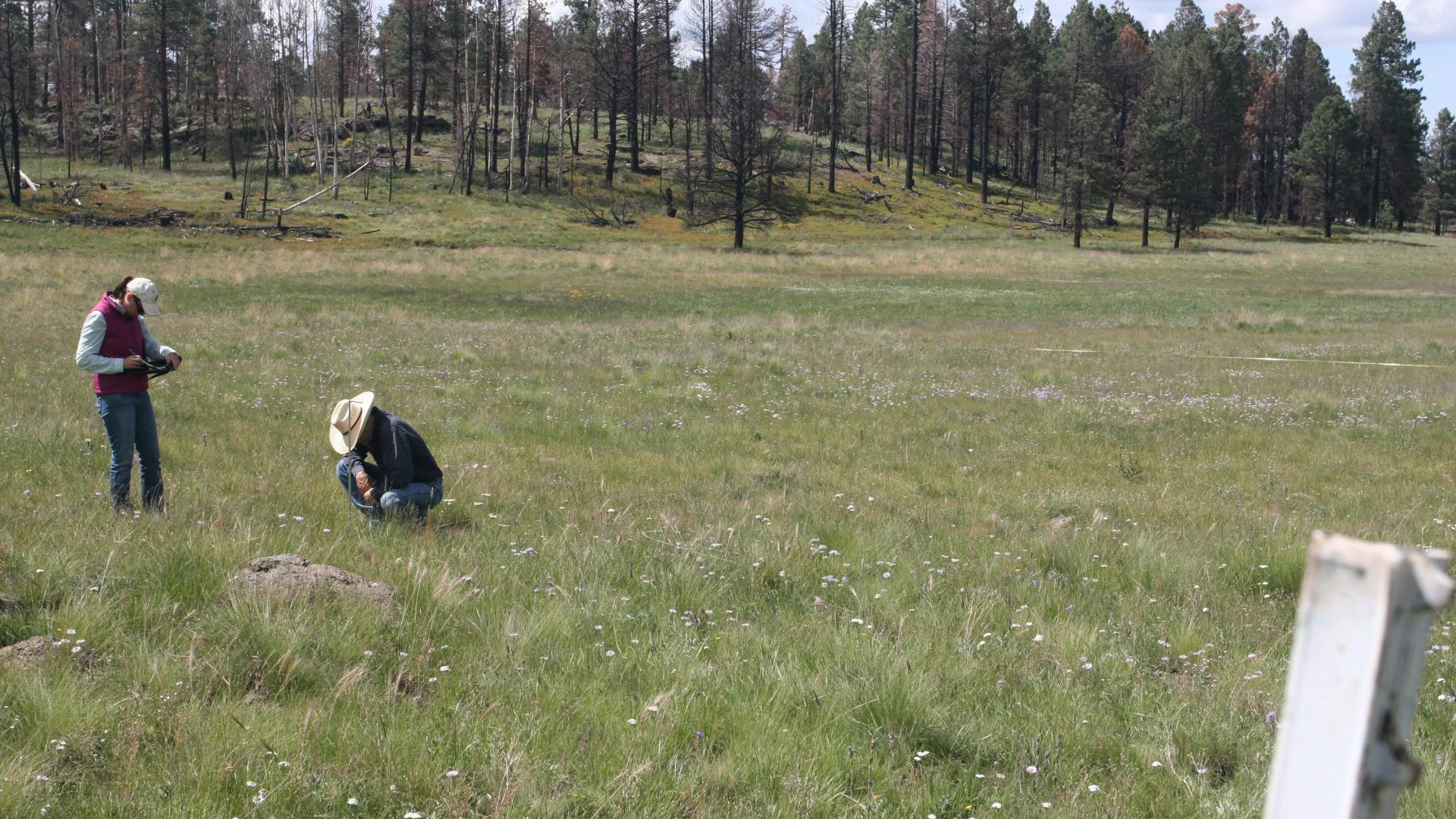 Two people taking inventory White Mountains, AZ