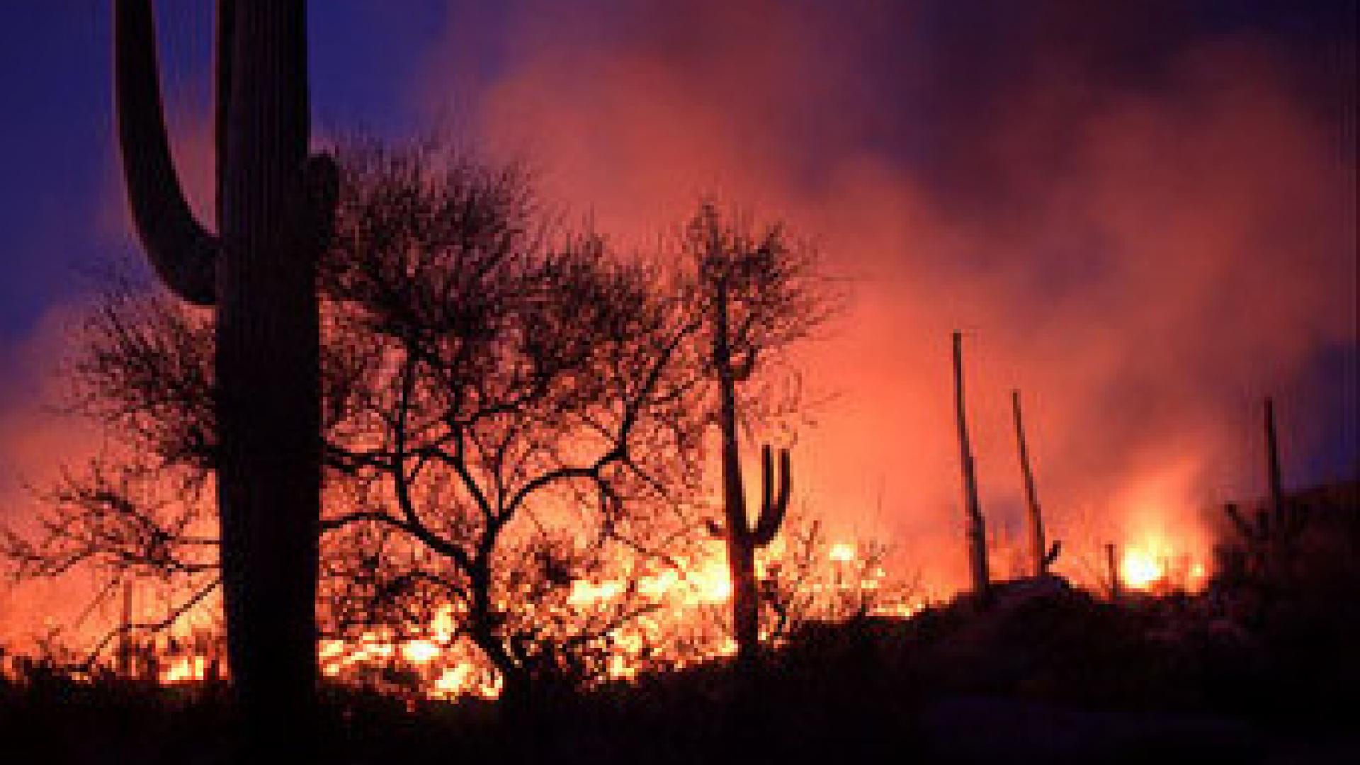Fire in desert - Saguaro in foreground