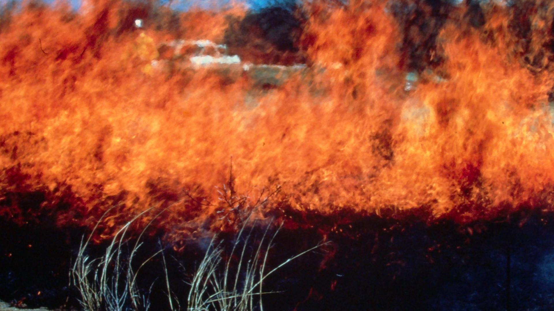 Fire | Rangelands Gateway