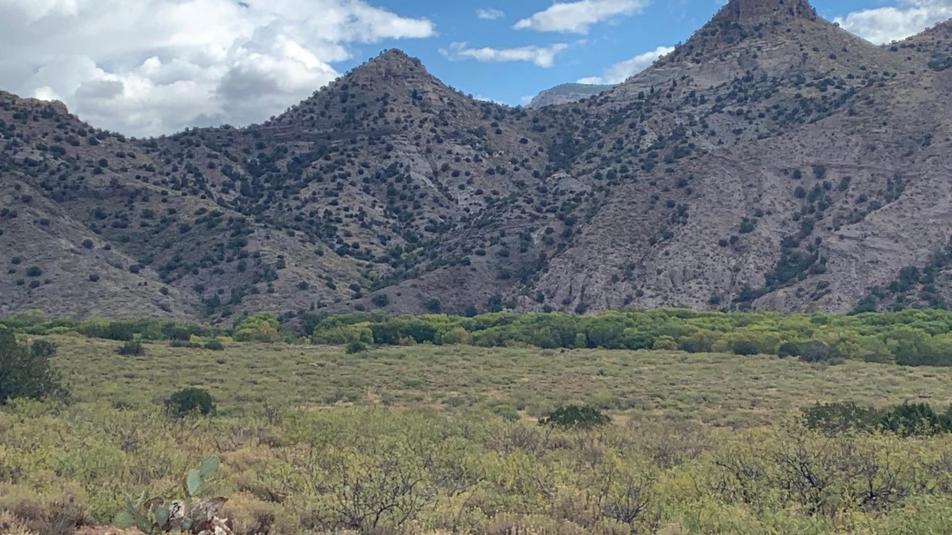 Rangeland and mountains, NM