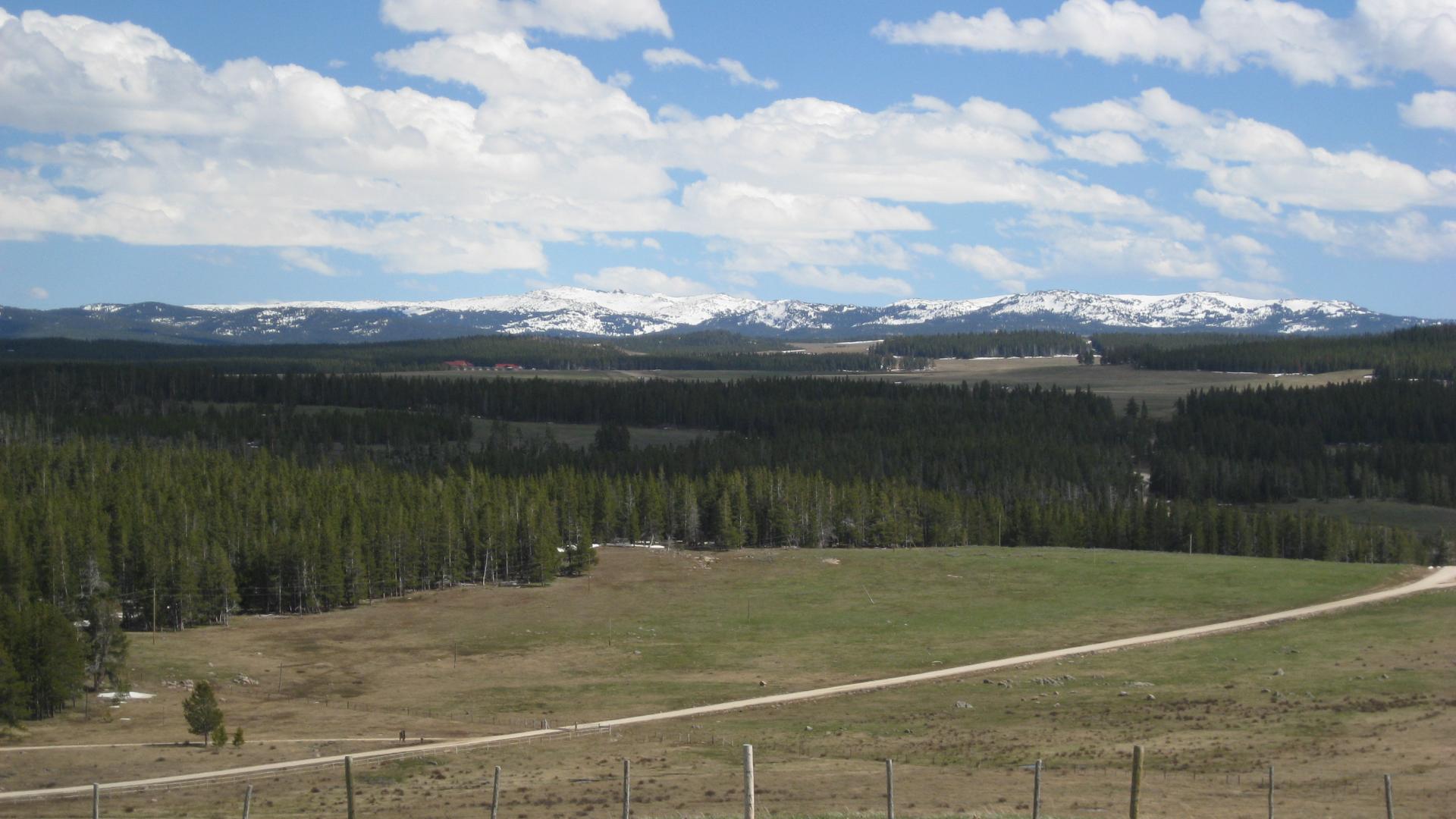 Big Horn mountains, Wyoming.