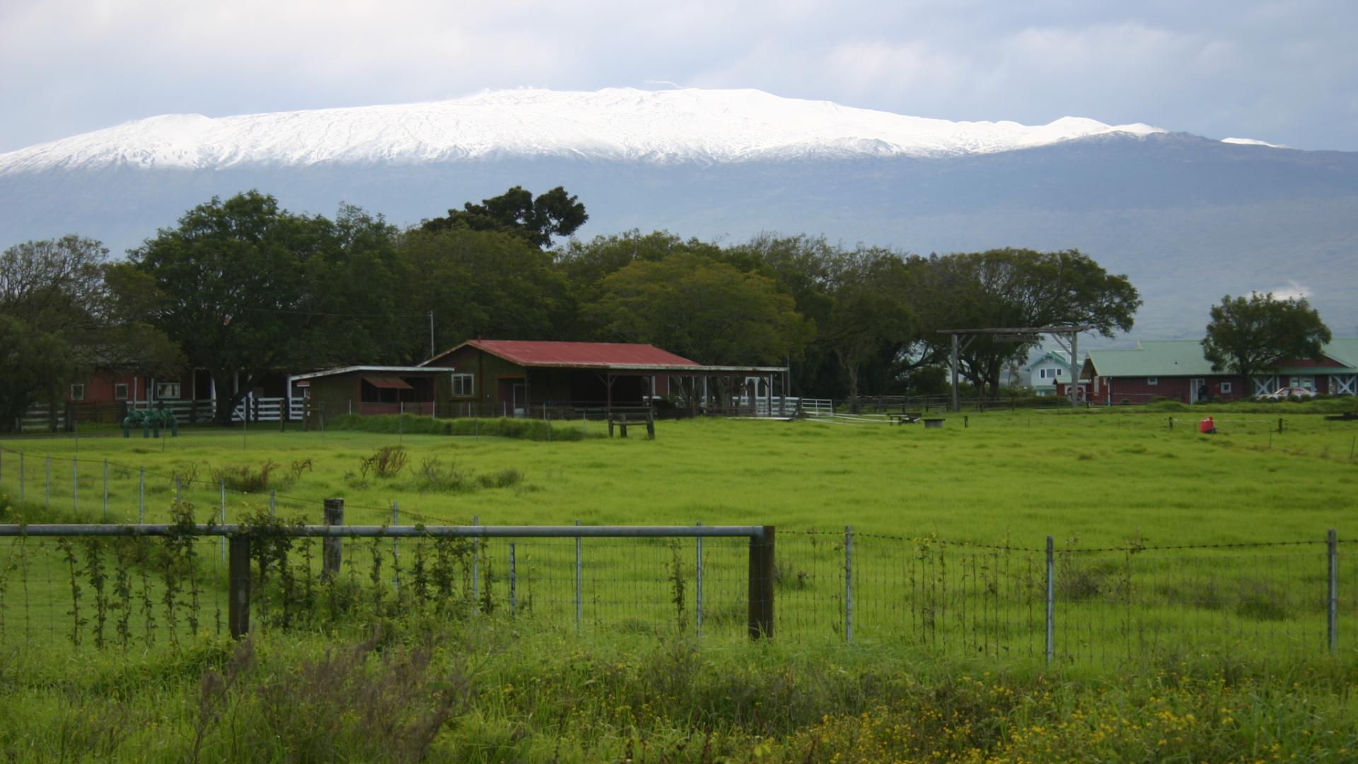 Small ranch house and lands