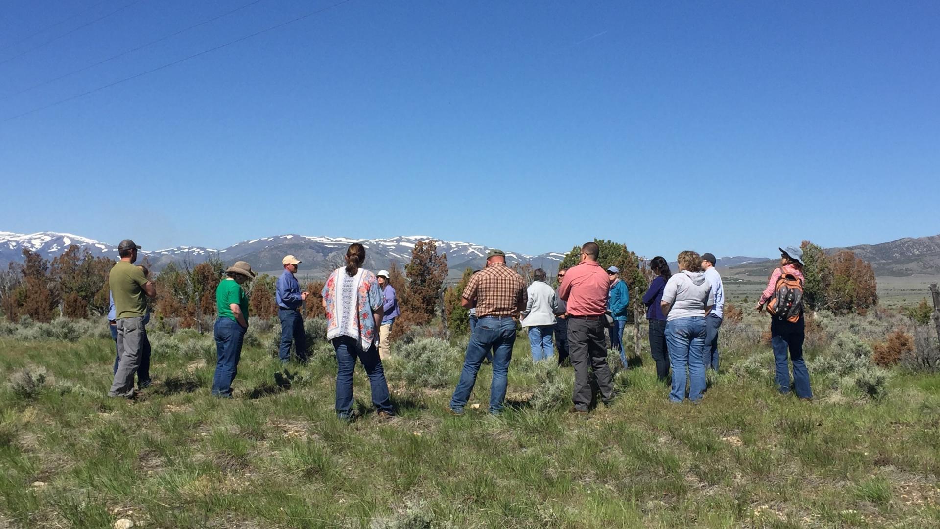 People in a discussion on rangelands