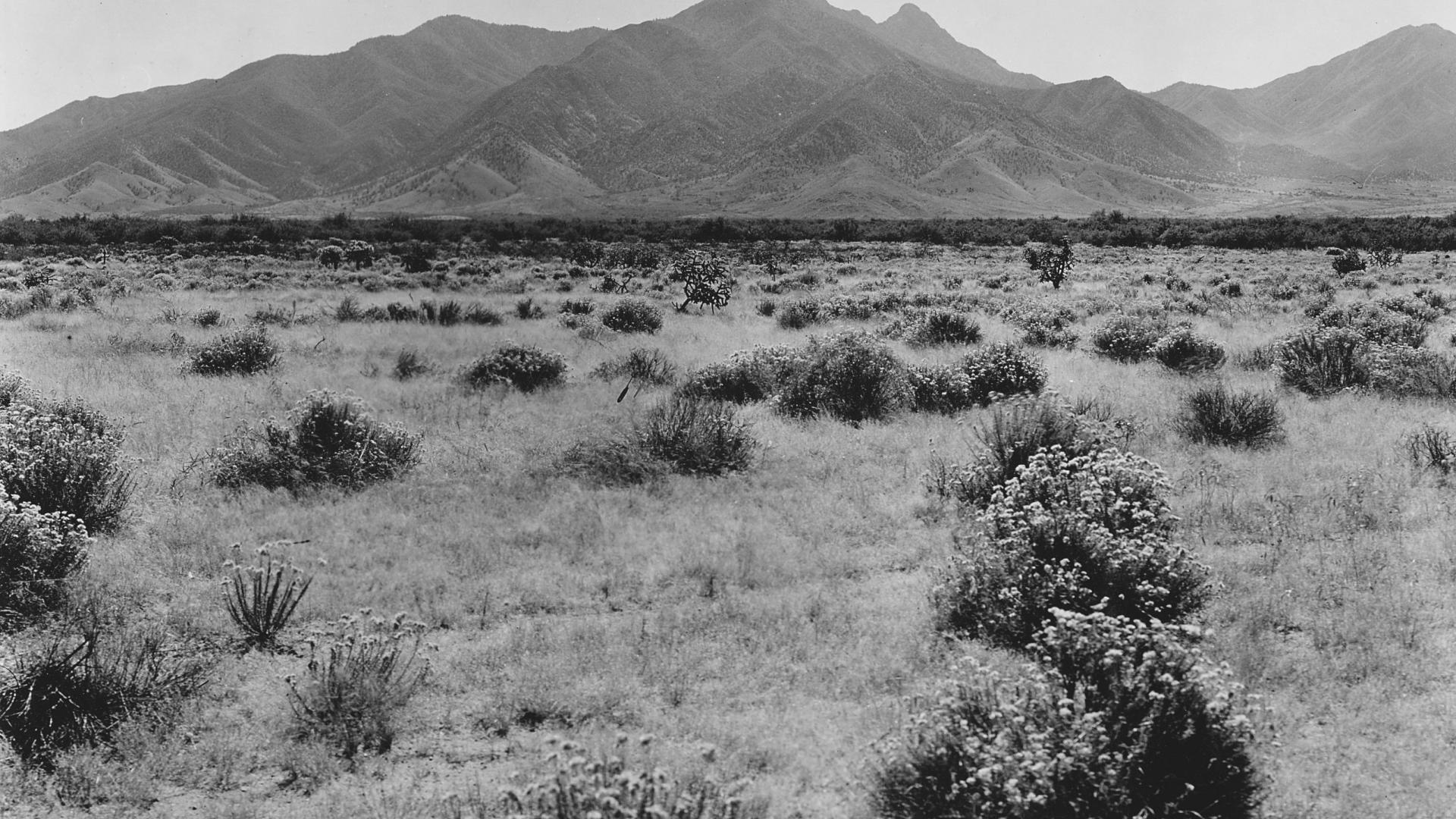 Santa Rita Experimental Range Repeat Photography