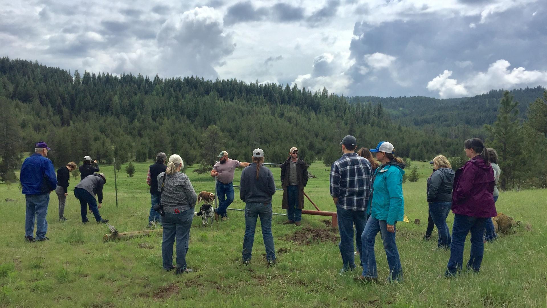 Group of people talking in meadow