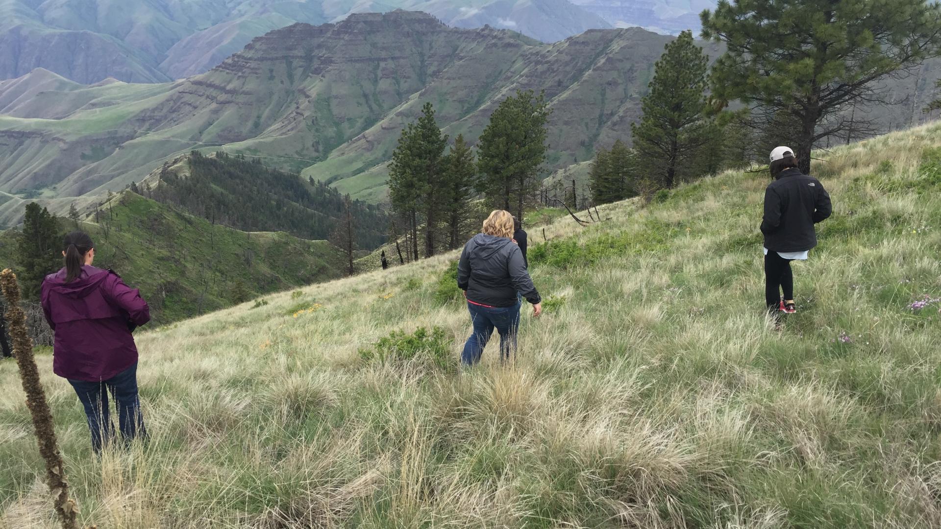 Three women hiking down a steep slop in Hells Canyon