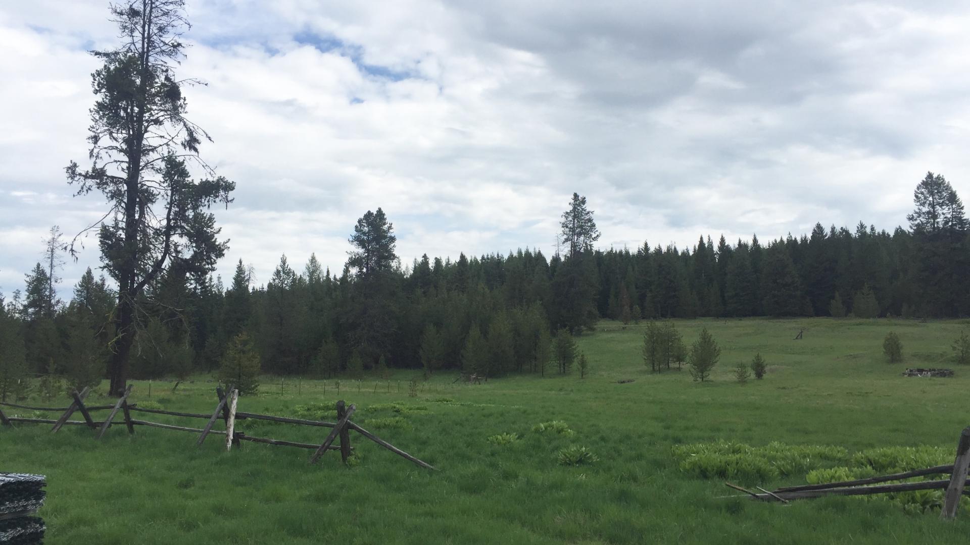Mountain grassland with wood fence.