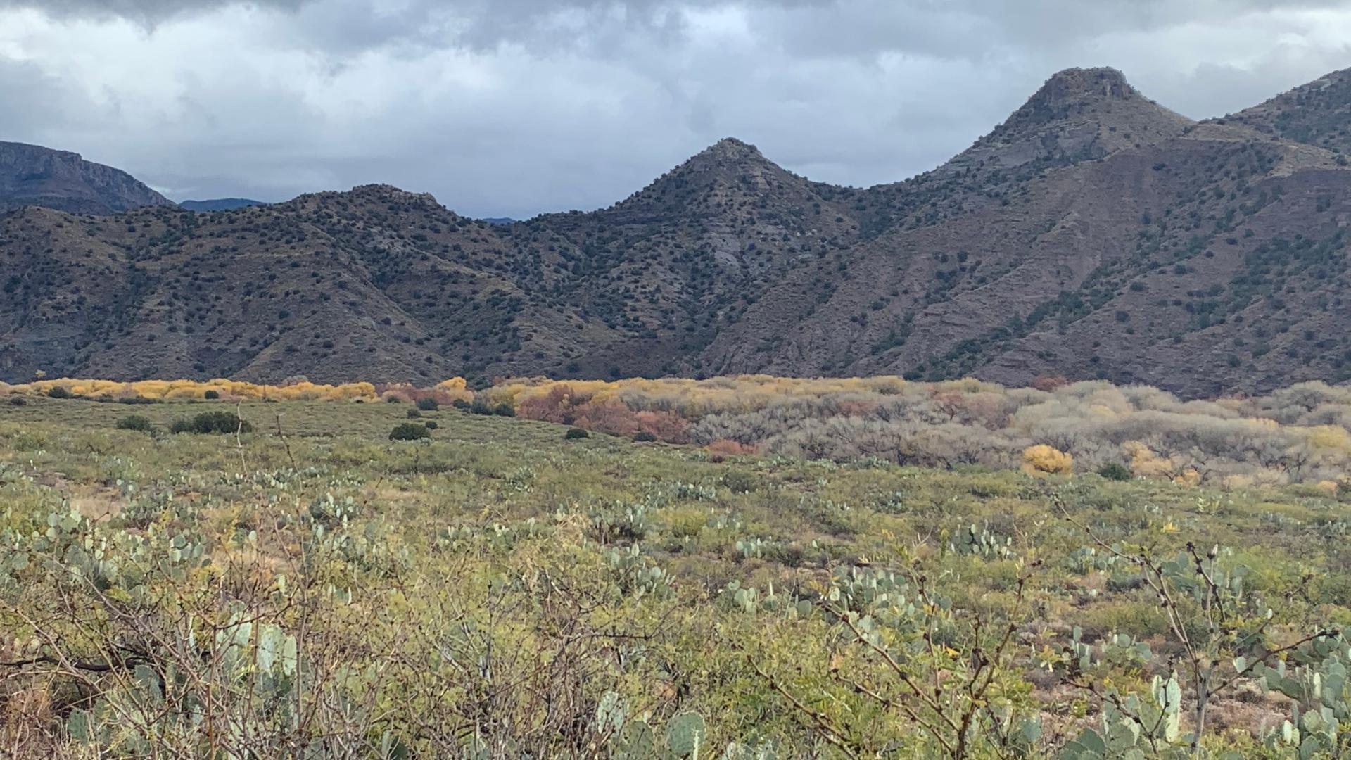 Gila Wilderness, NM