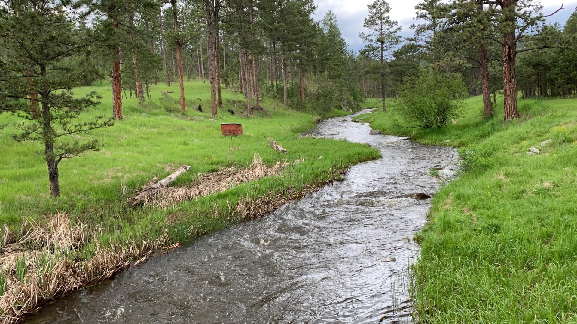 Small river with grass and trees - SD