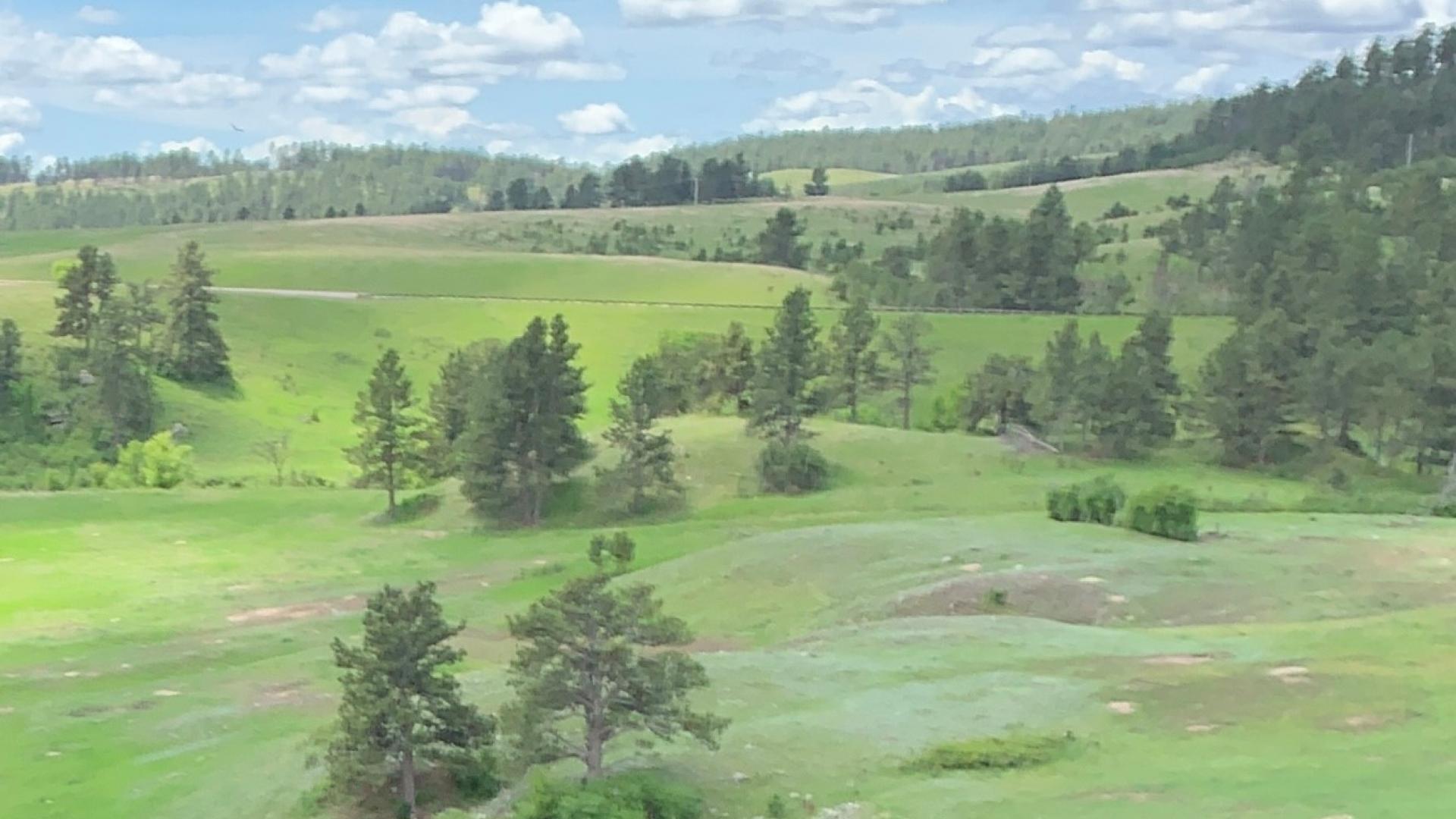 Grassland near Wind Cave National Park - SD