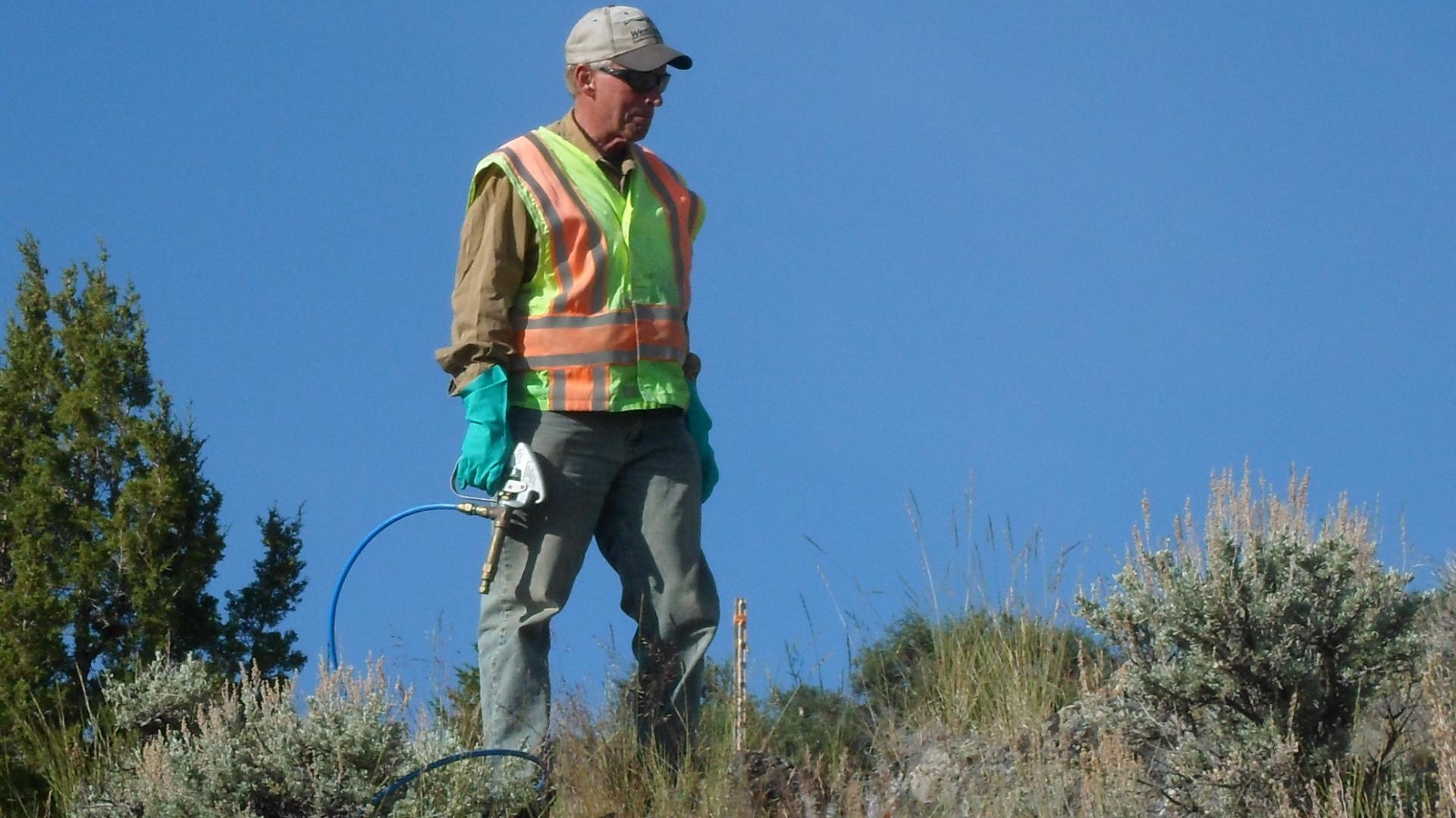 Man spraying invasive species