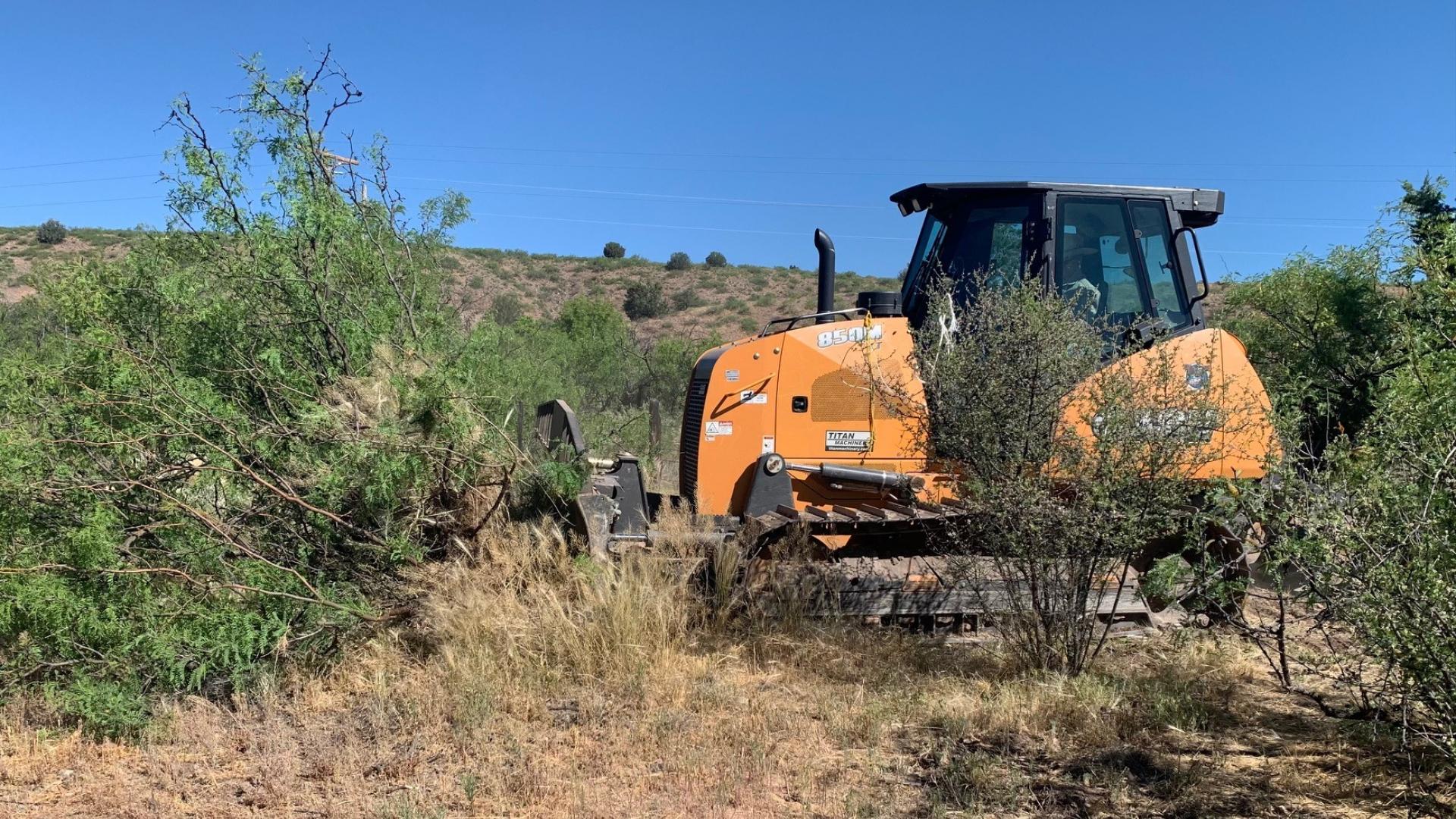 Bulldozer uprooting mesquite