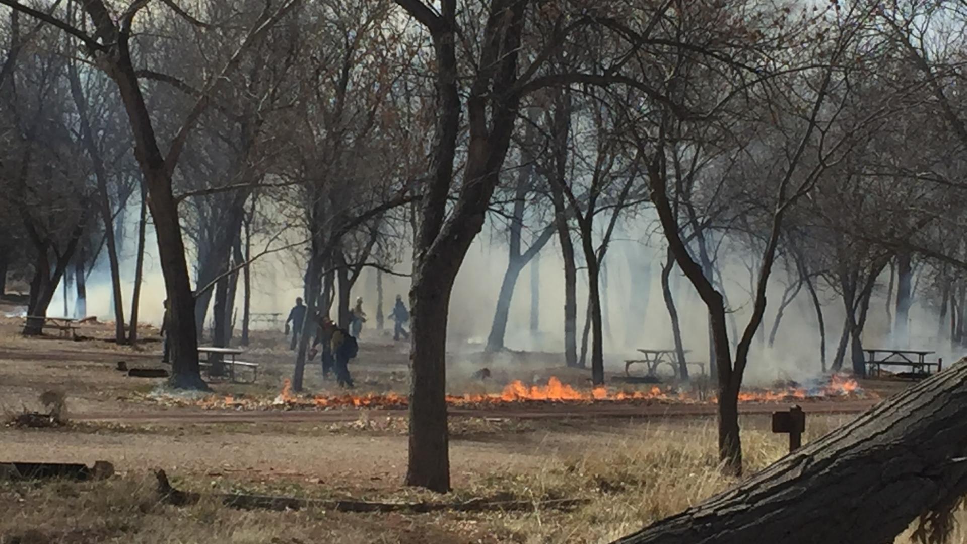 Prescribed fire around picnic area