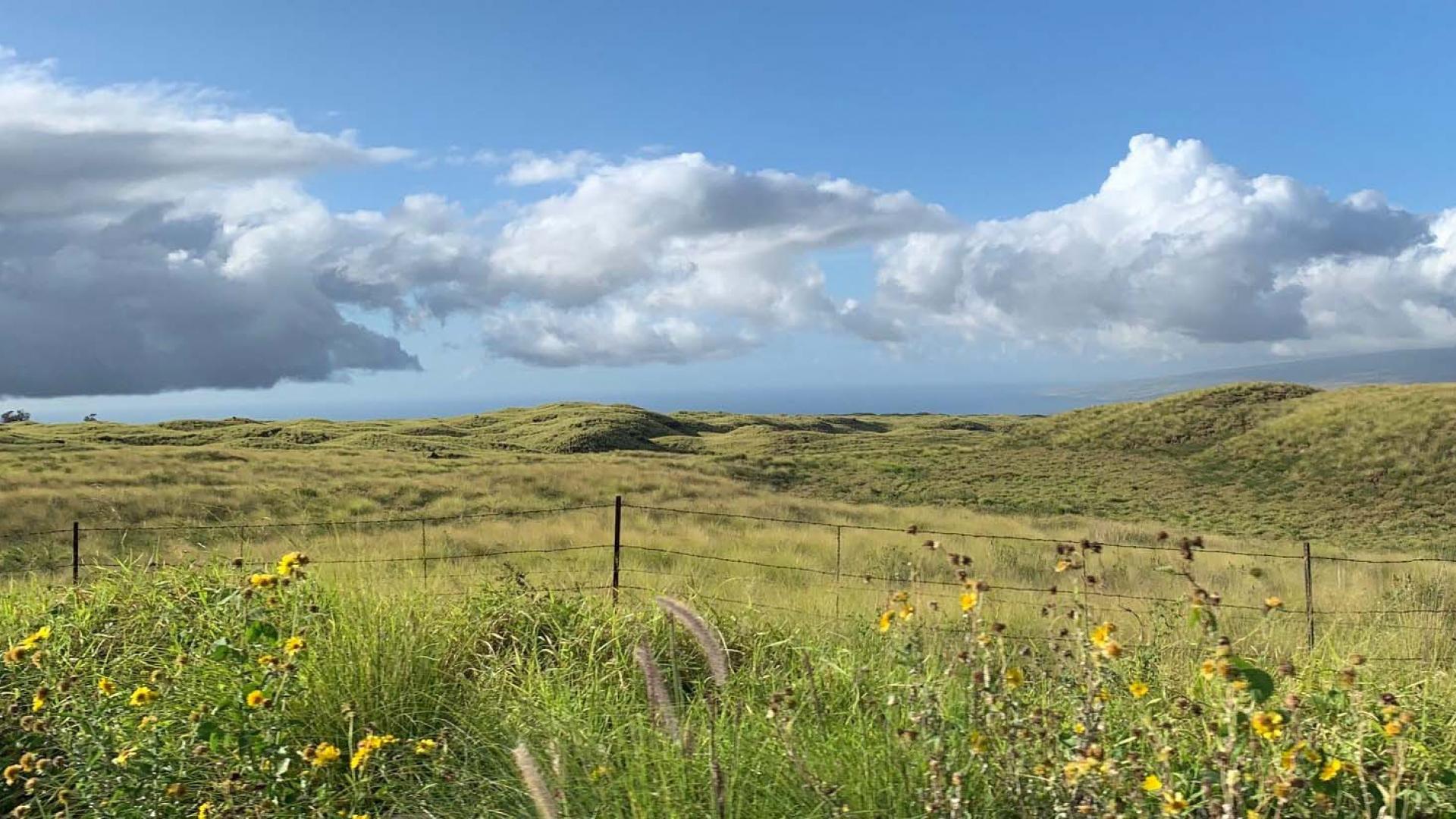 Hawaii rangelands