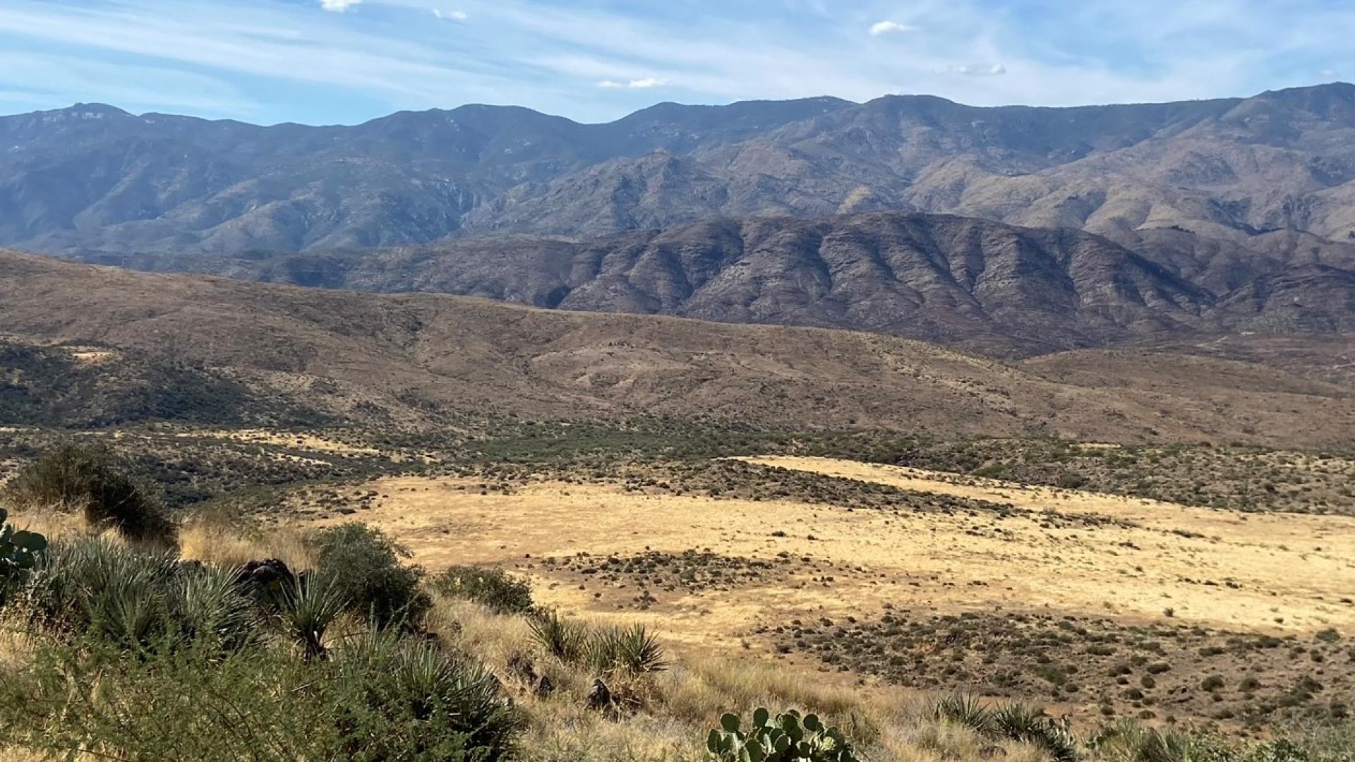 Maintained Grassland Areas