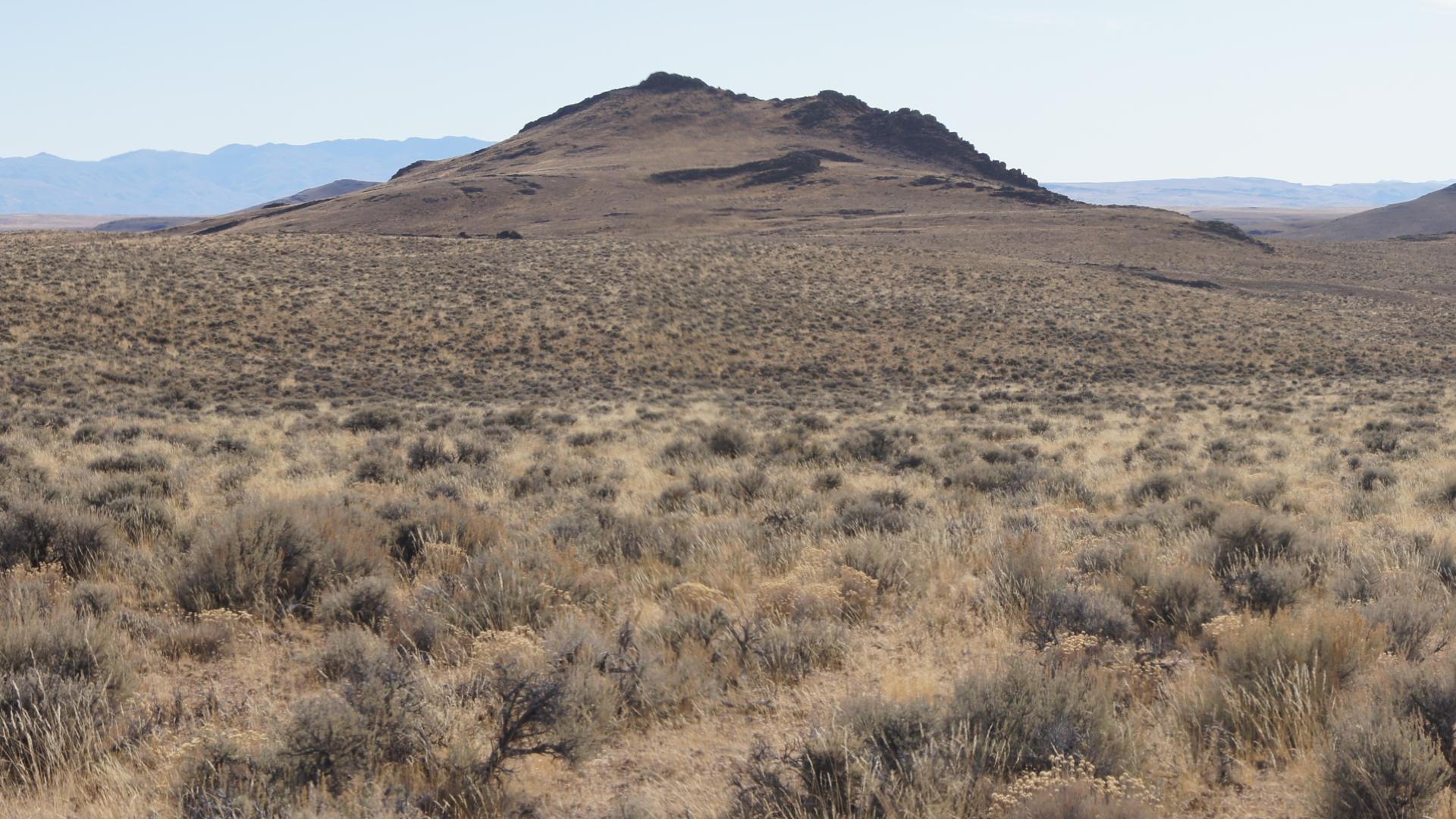 Sagebrush Steppe