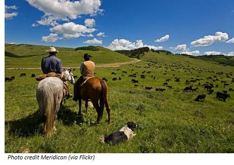 Two people on horseback looking at rangeland