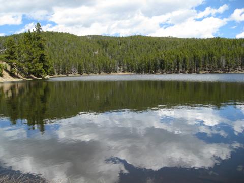 Wetlands
