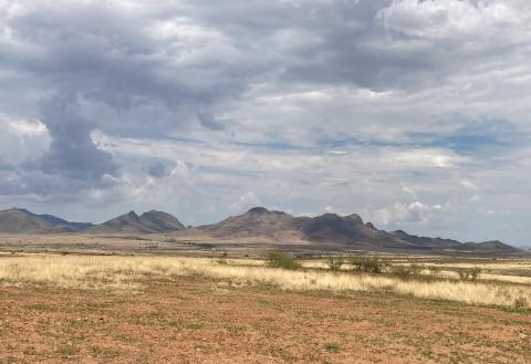 image of rangeland in Arizona