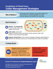 Graphic of the infographic showing recommendations for collar management including why it matters, best practices, and limiting waste.