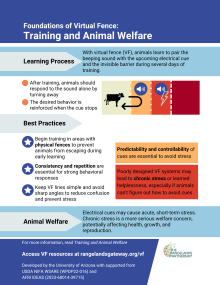 Graphic of the infographic introducing training and animal welfare considerations including the learning process and best practices.