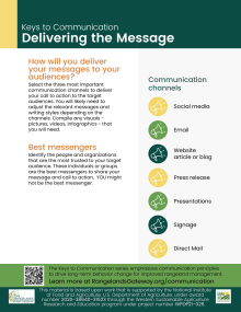 Graphic of the infographic showing how to deliver the message to the target audience