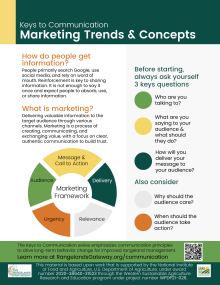 Graphic of infographic showing marketing trends and concepts