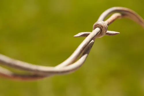Barb wire fence