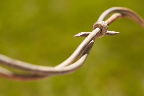 Barb wire fence