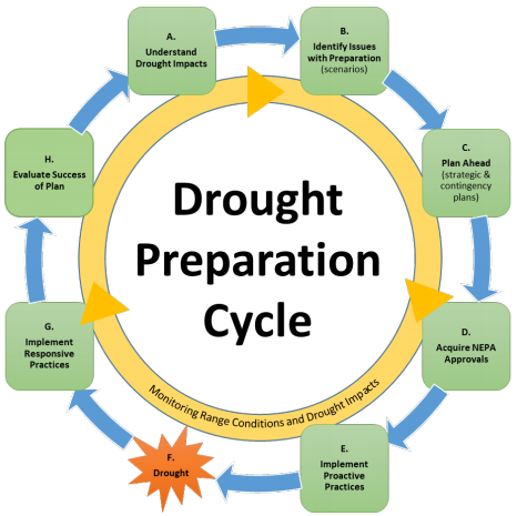 graphic showing drought preparation cycle