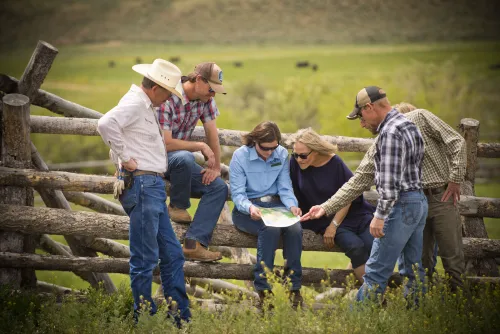 group of people sitting on a fence