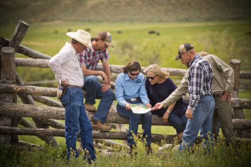 group of people sitting on a fence